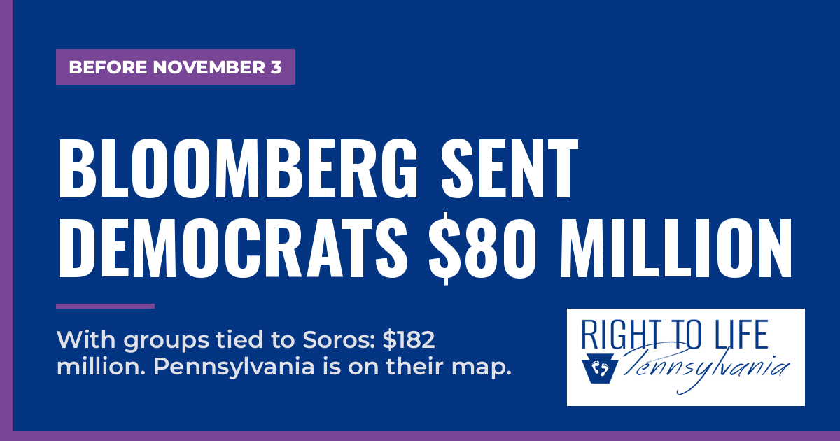 Bloomberg Sent Democrats $80 Million