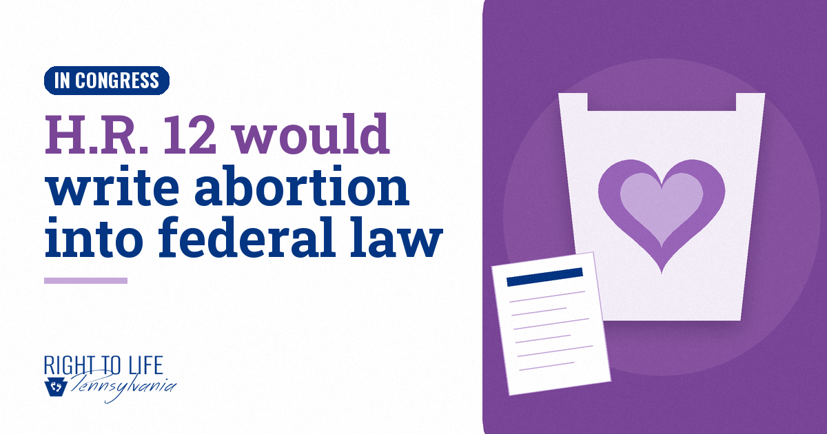 Seven Pennsylvania Members of Congress Want Abortion Written Into Federal Law