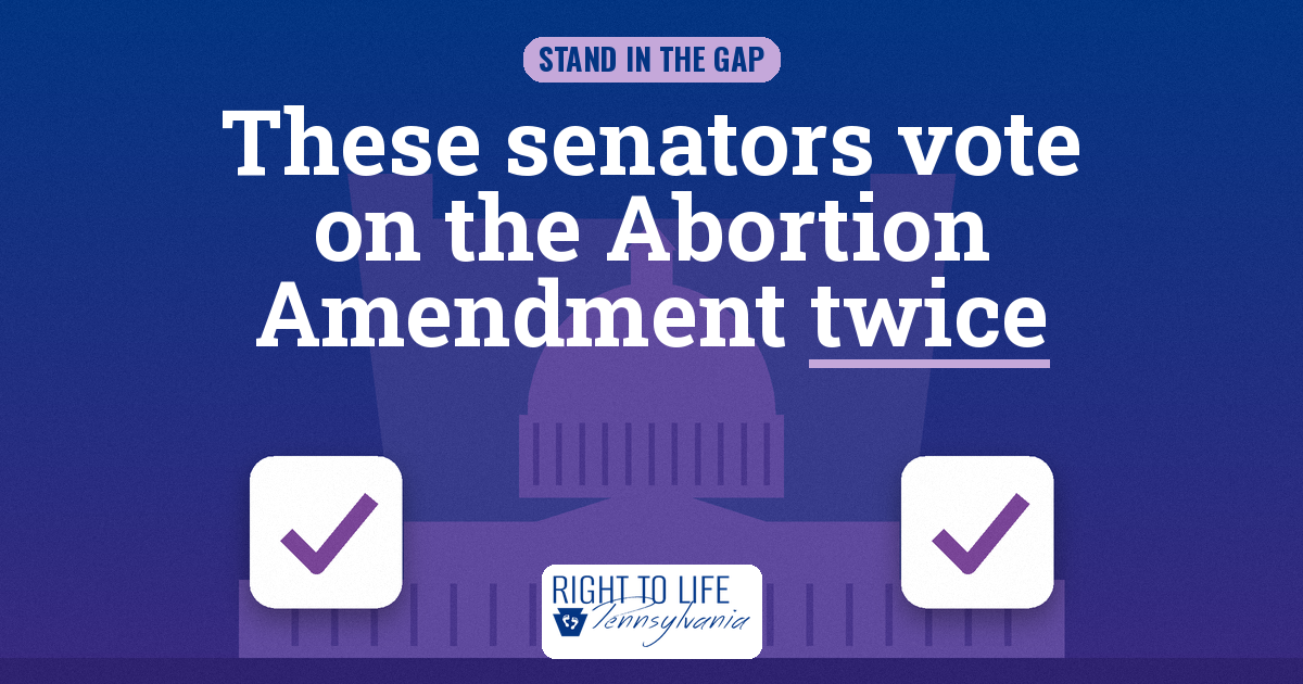 These Senators Vote on the Abortion Amendment Twice
